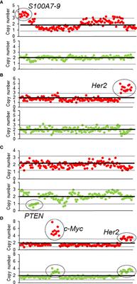 Circulating Tumor DNA as a Predictive Marker of Recurrence for Patients With Stage II-III Breast Cancer Treated With Neoadjuvant Therapy